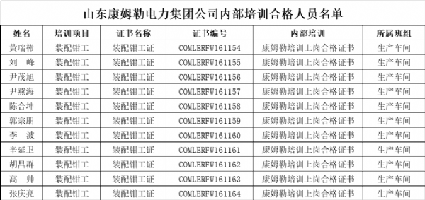 山東17c永久隐藏入口電力集團公司內部培訓合格人員名單